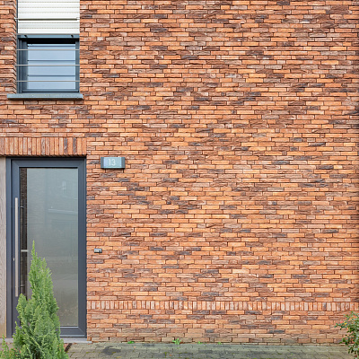 Кирпич Nelissen Robinia